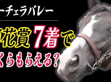 【菊花賞2025回顧】出資馬コーチェラバレーは15番人気7着　出走奨励金の額が半端ない！