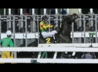 【武豊】皐月賞day 返し馬から暴れる!! レジェンドでも抑えられないゲートを突き破ってしまう 現地映像 【競馬ハプニング】