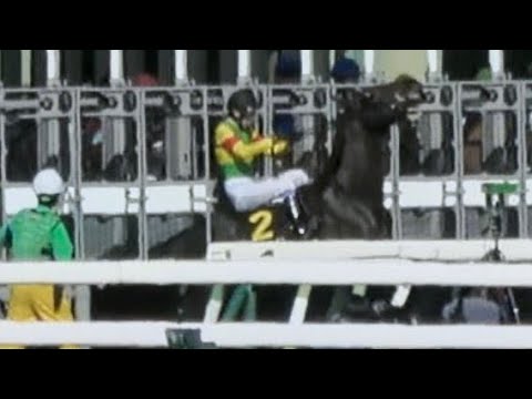 【武豊】皐月賞day 返し馬から暴れる!! レジェンドでも抑えられないゲートを突き破ってしまう 現地映像 【競馬ハプニング】