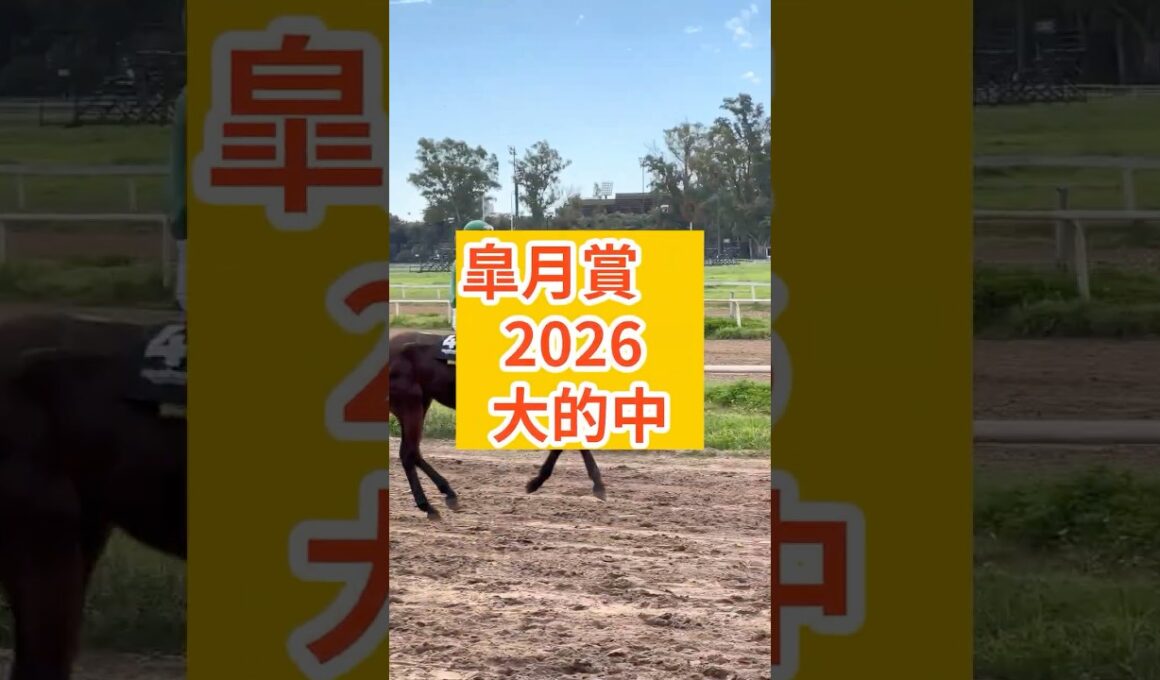 [皐月賞　結果報告]#皐月賞 #皐月賞2026 #リアライズシリウス #バステール #カヴァレリッツォ #ロブチェン #マテンロウゲイル #アドマイヤクワッズ