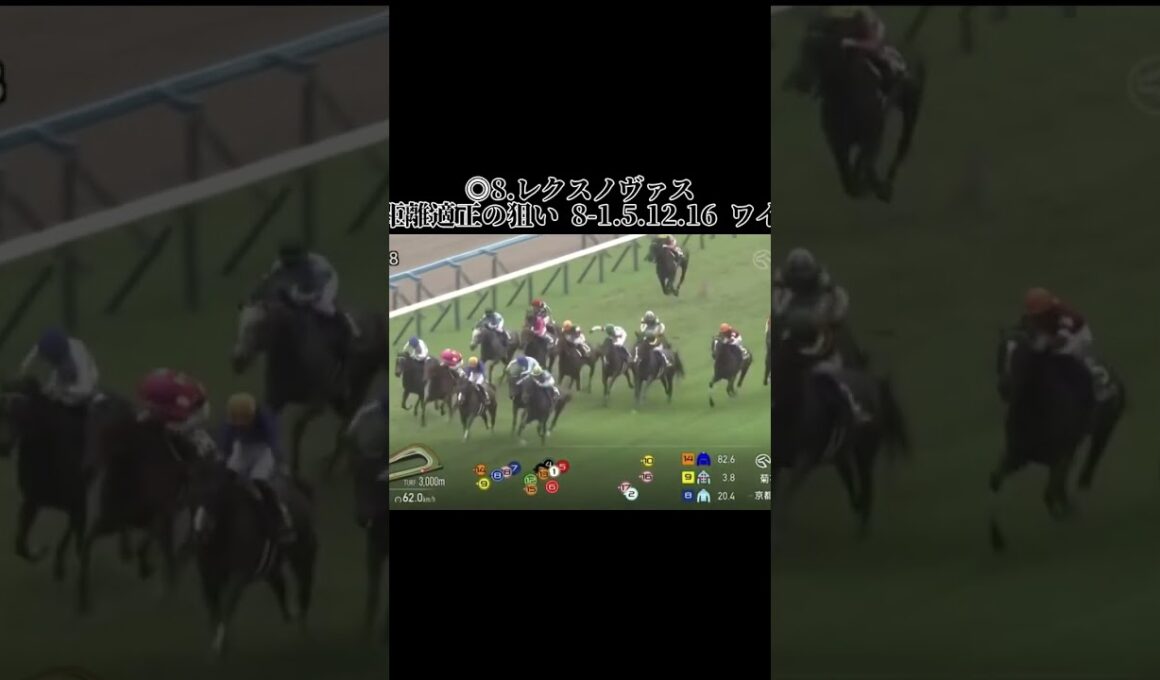 菊花賞の結果で、前こそに行くのが上手く #競馬 #競馬予想 #競馬結果 #京都競馬 #京都競馬場 #京都競馬予想 #京都競馬 #菊花賞