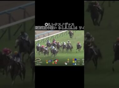 菊花賞の結果で、前こそに行くのが上手く #競馬 #競馬予想 #競馬結果 #京都競馬 #京都競馬場 #京都競馬予想 #京都競馬 #菊花賞