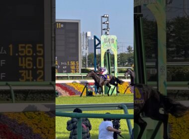 皐月賞2026 現地の大歓声 #皐月賞 #ロブチェン #松山弘平