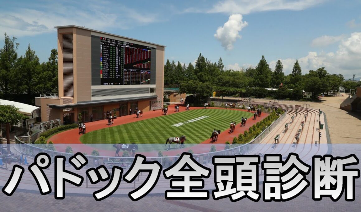 【皐月賞 2026】競馬記者が全レースのパドックを解説【JRAライブ】