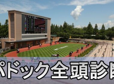 【皐月賞 2026】競馬記者が全レースのパドックを解説【JRAライブ】