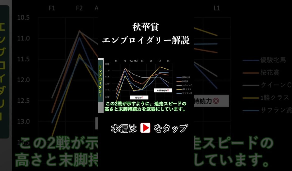 秋華賞 ラップタイム分析【エンブロイダリー編】