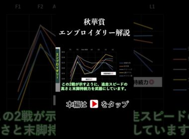 秋華賞 ラップタイム分析【エンブロイダリー編】
