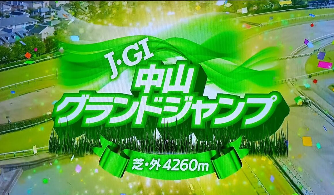 中山11レース第28回中山グランドジャンプ(J・GⅠ) エコロデュエル