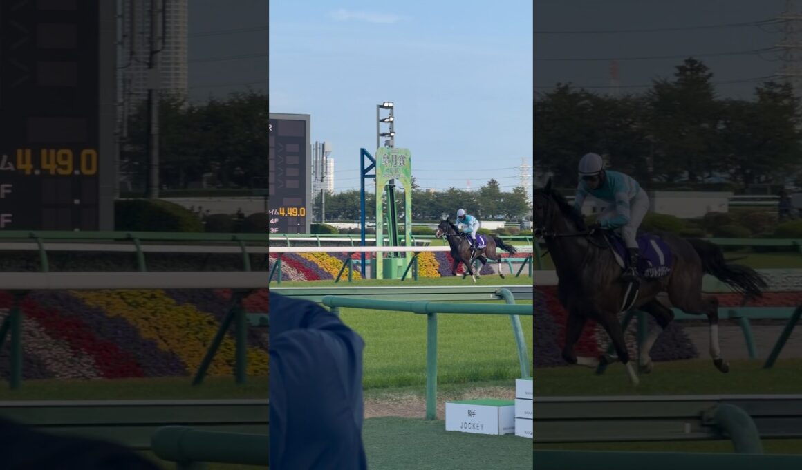 ダントツ最下位でゴールした馬への大歓声 #中山グランドジャンプ #感動 #感動の瞬間