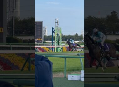 ダントツ最下位でゴールした馬への大歓声 #中山グランドジャンプ #感動 #感動の瞬間