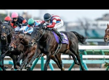 🐎🔥天皇賞・春2026が激アツ展開！ヘデントール連覇へ王手💥クロワデュノール復活＆強豪16頭集結で大混戦⚡✨