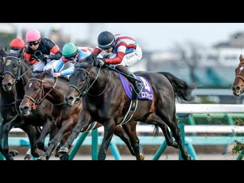 🐎🔥天皇賞・春2026が激アツ展開！ヘデントール連覇へ王手💥クロワデュノール復活＆強豪16頭集結で大混戦⚡✨