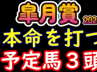皐月賞2026本命候補3頭｜混戦の正体は“選べない構造”。追い切り×枠順で残る馬と消す馬を断定