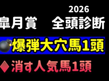 【競馬予想】　皐月賞　全頭診断　事前予想　2026