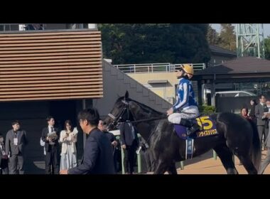 皐月賞2026の裏側 悔しそうに天を仰ぐ津村とリアライズシリウス