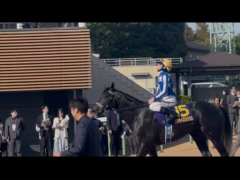 皐月賞2026の裏側 悔しそうに天を仰ぐ津村とリアライズシリウス