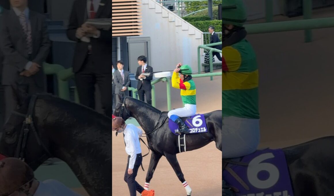 草野太郎騎手 エコロデュエル 中山グランドジャンプ連覇