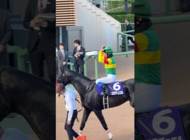 草野太郎騎手 エコロデュエル 中山グランドジャンプ連覇