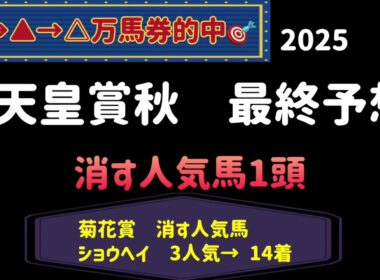【競馬予想】　天皇賞秋　2025  最終予想