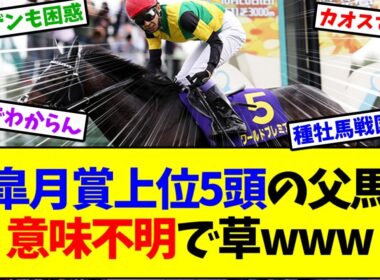 【皐月賞2026】皐月賞上位5頭の父馬 これもうわけわかんねぇなwww【競馬】