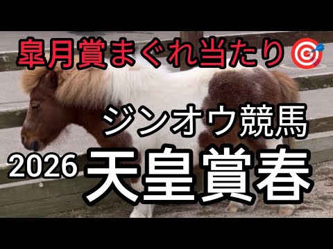 2026/天皇賞春　本命馬決定