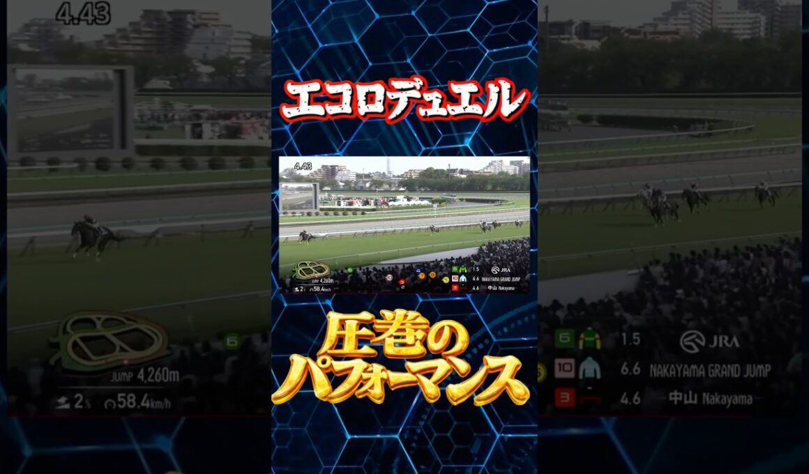 中山グランドジャンプ‼︎ #競馬　#jra #障害レース #g1 #エコロデュエル　#中山グランドジャンプ　#中山　#レコード　#速報