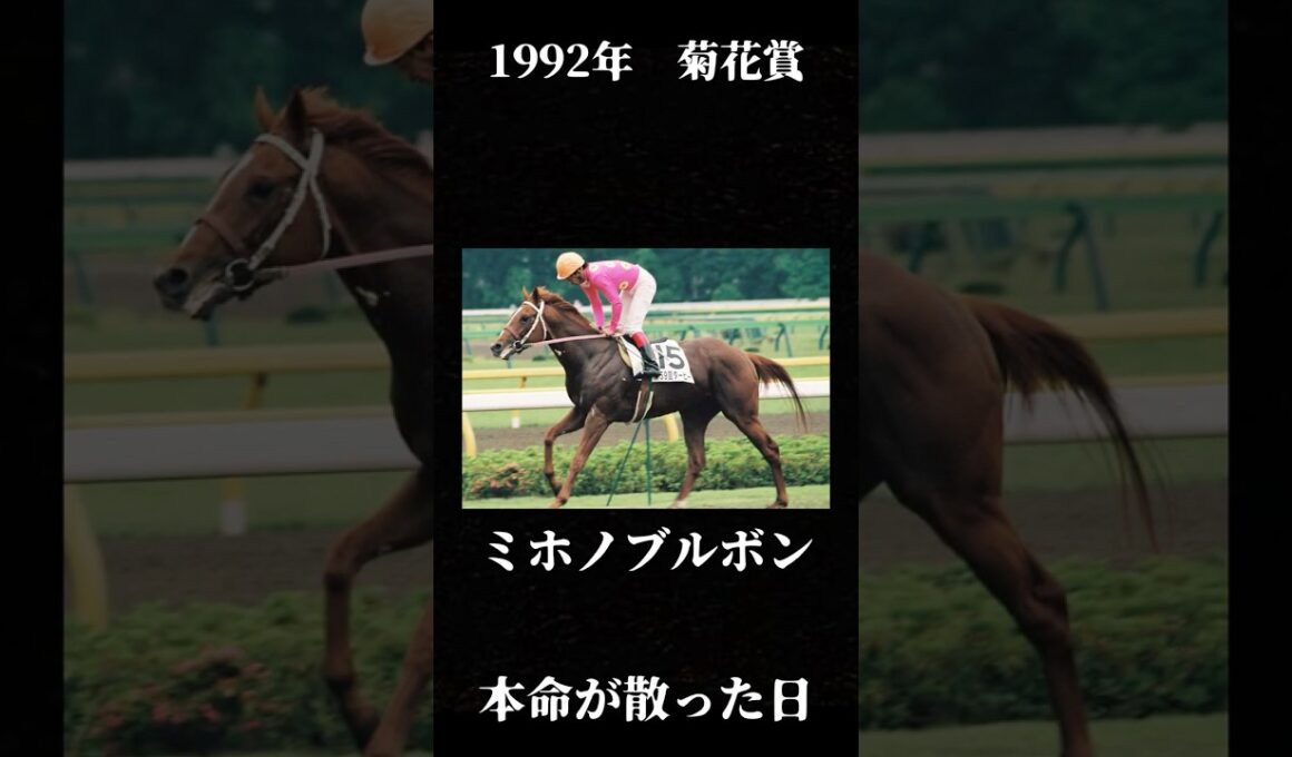 三冠の夢、最後で消える【1992年 菊花賞】#競馬 #菊花賞#ミホノブルボン #ライスシャワー #マチカネタンホイザ #一番人気が飛んだレース #名馬