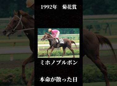 三冠の夢、最後で消える【1992年 菊花賞】#競馬 #菊花賞#ミホノブルボン #ライスシャワー #マチカネタンホイザ #一番人気が飛んだレース #名馬