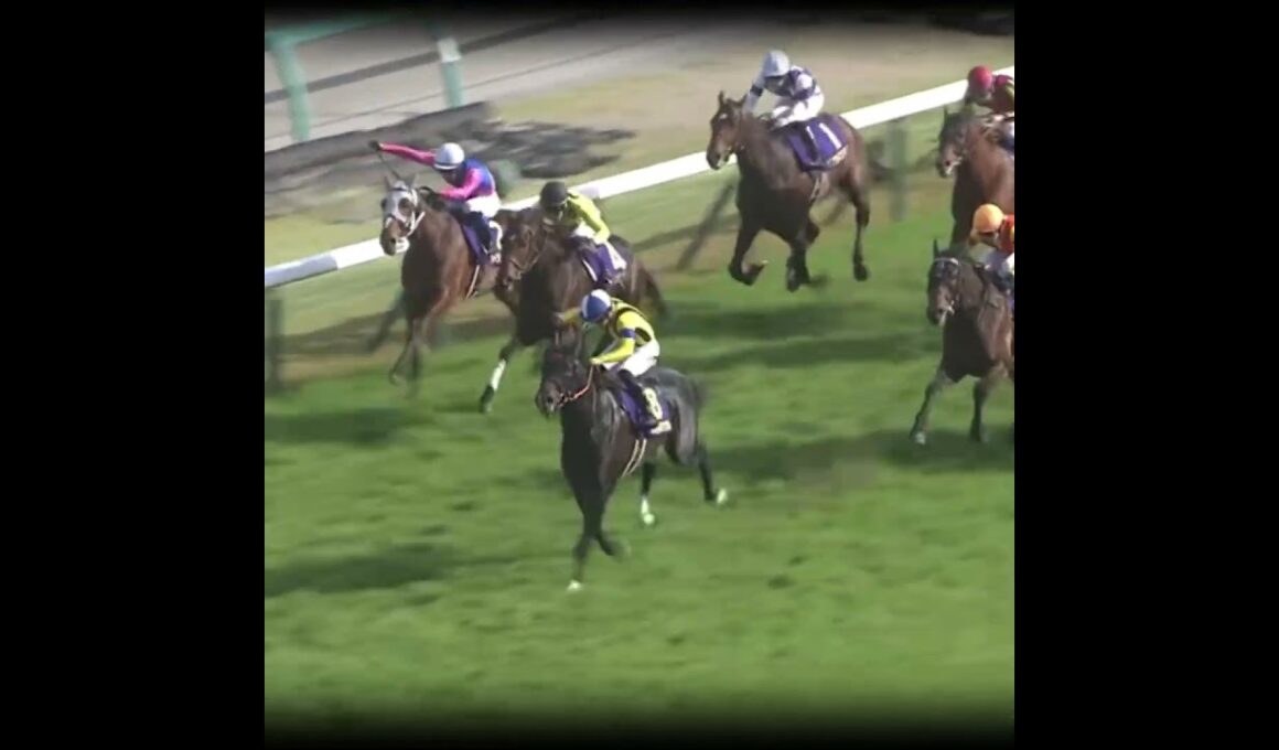 天国からの後押し #競馬 #皐月賞  #ジャスティンミラノ #戸崎圭太