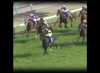 天国からの後押し #競馬 #皐月賞  #ジャスティンミラノ #戸崎圭太