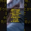 読売マイラーズC2026 安田記念への王道ステップ 京都芝1600m #Shorts