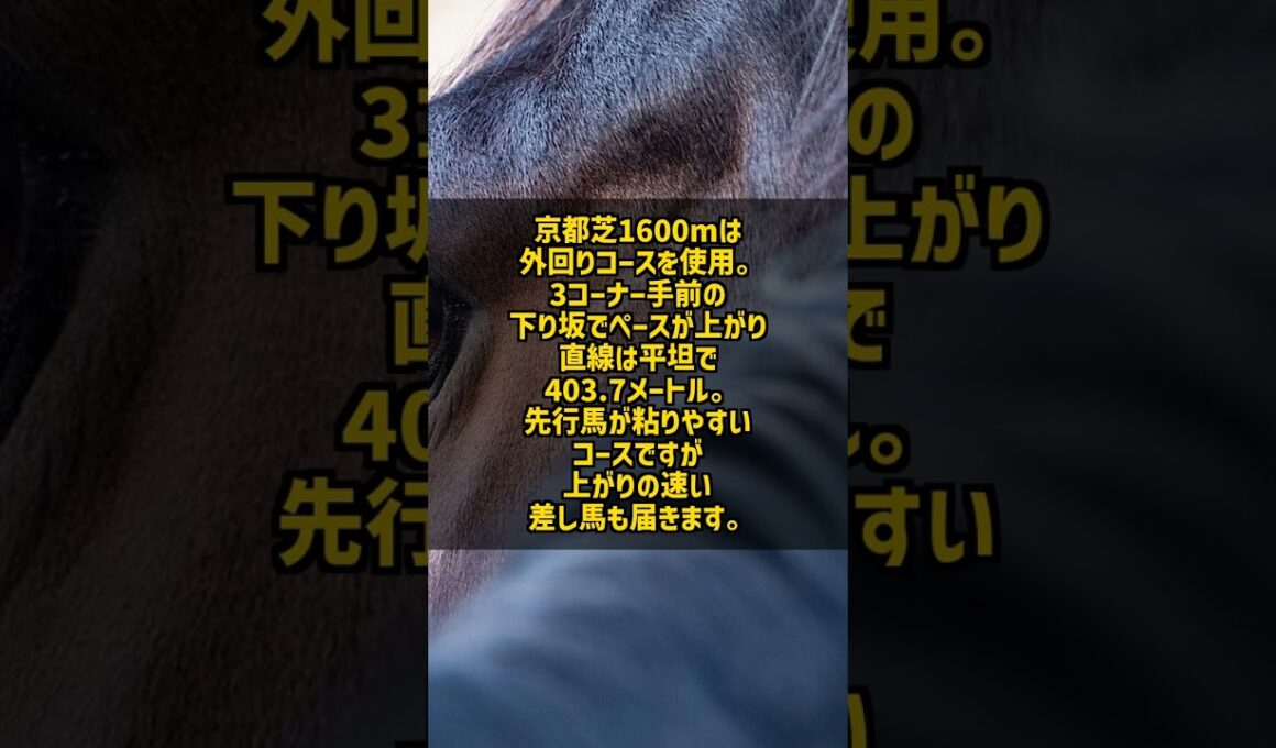 読売マイラーズC2026 安田記念への王道ステップ 京都芝1600m #Shorts