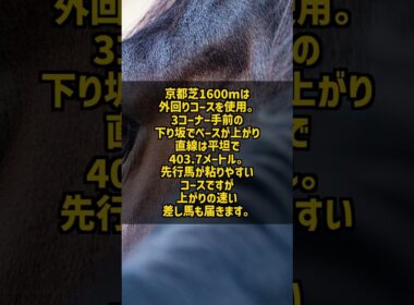 読売マイラーズC2026 安田記念への王道ステップ 京都芝1600m #Shorts