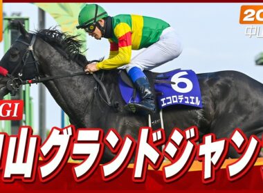 【レース映像】中山11R 中山グランドジャンプ（J・GI）｜エコロデュエル（草野太郎）｜ウイニング競馬