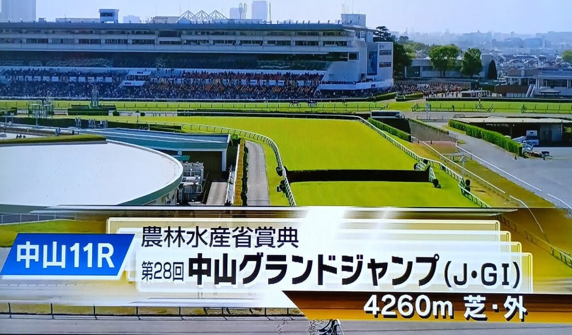 中山グランドジャンプの本馬場入場