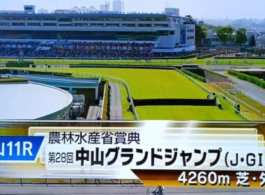 中山グランドジャンプの本馬場入場