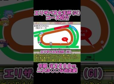 エリザベス女王杯コース紹介