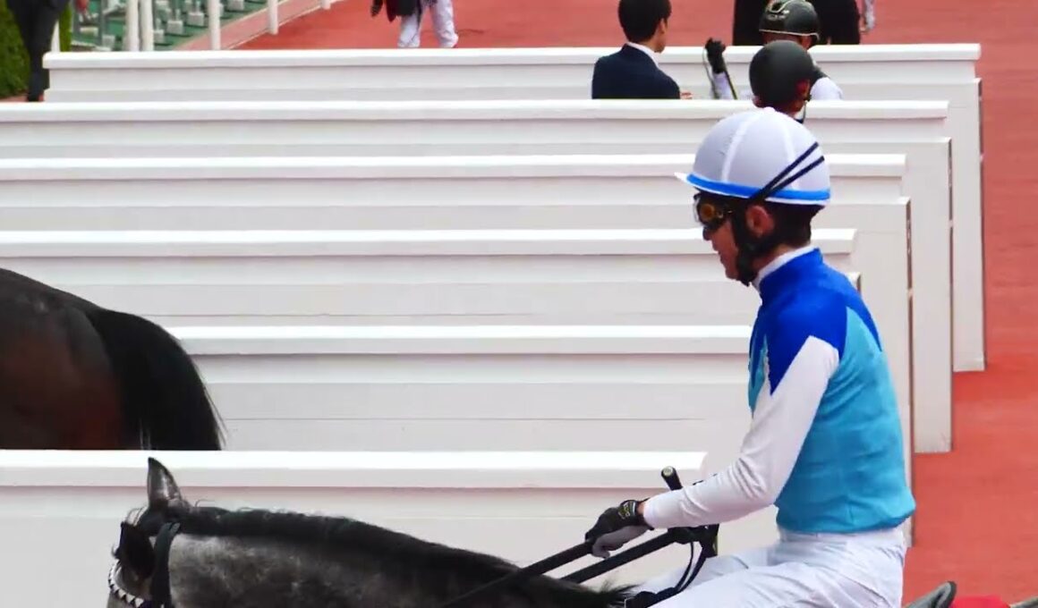 【武豊】天皇賞春 想定 能力か適性か、この2頭で決まる アドマイヤテラvsクロワデュノール