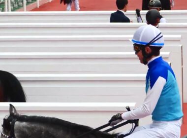 【武豊】天皇賞春 想定 能力か適性か、この2頭で決まる アドマイヤテラvsクロワデュノール