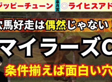 【マイラーズC2026】先週動画推奨馬◎ライヒスアドラー激走！マイラーズカップで条件次第で一発期待の穴馬紹介！