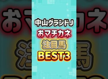 中山グランドジャンプ2026 おマチカネ注目馬BEST3