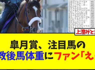 皐月賞、注目馬の調教後の馬体重にファン｢え…｣【競馬】