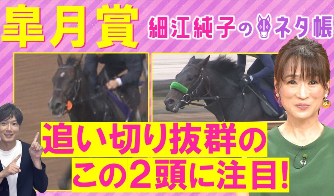 【１７週連続注目馬が激走中！】「おもしろみがあるアナ馬は…」ロブチェン、カヴァレリッツォ、グリーンエナジー・・・皐月賞(ＧⅠ)を元ジョッキーの細江さんが徹底解説！＜細江純子のネタ帳＞