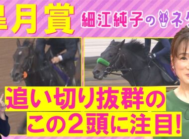 【１７週連続注目馬が激走中！】「おもしろみがあるアナ馬は…」ロブチェン、カヴァレリッツォ、グリーンエナジー・・・皐月賞(ＧⅠ)を元ジョッキーの細江さんが徹底解説！＜細江純子のネタ帳＞