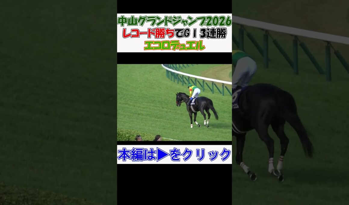 #中山グランドジャンプ2026 #エコロデュエルがレコード勝利でGⅠ3連勝‼ 全馬完走にスタンドから拍手 現地映像