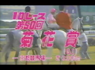懐かしの「中央競馬ダイジェスト」1989年 菊花賞