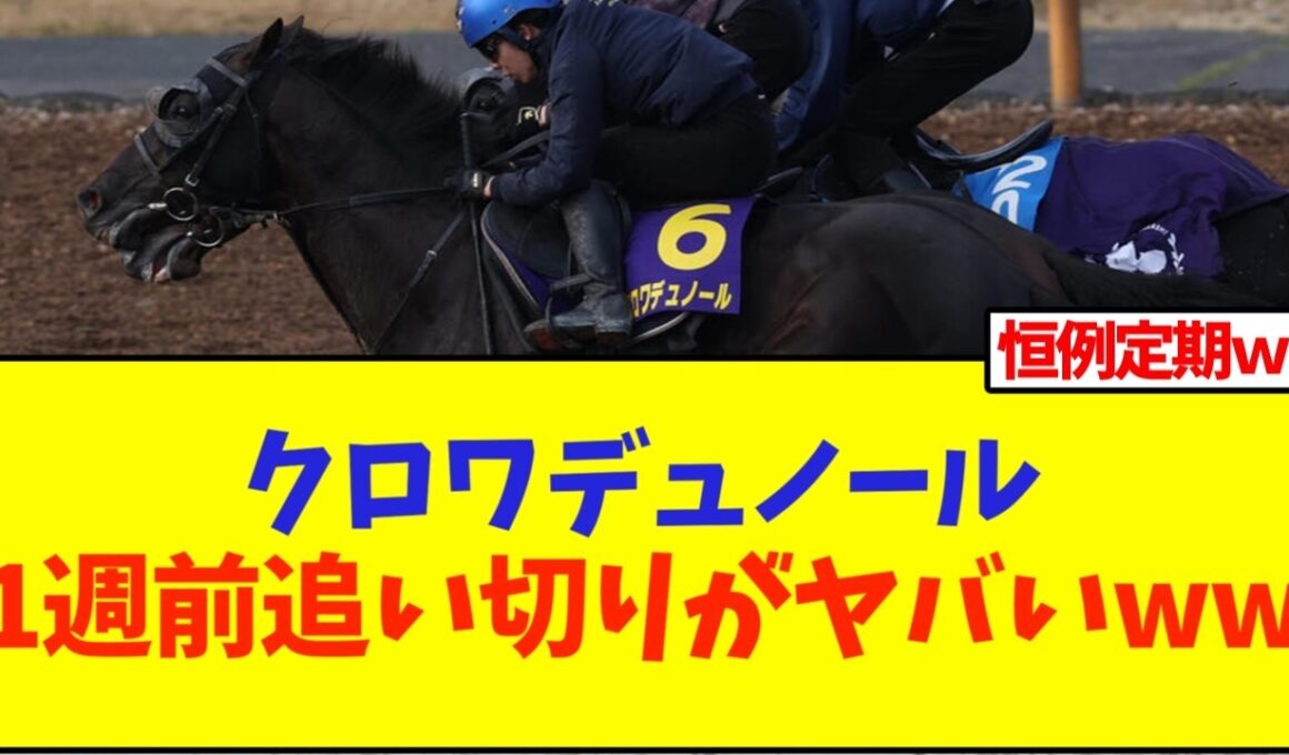 天皇賞春、クロワデュノール1週前追い切りがヤバいww【競馬】