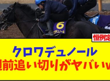 天皇賞春、クロワデュノール1週前追い切りがヤバいww【競馬】
