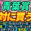 【青葉賞】◎皐月賞組に負けないポテンシャル『絶対に買うのはこの馬』