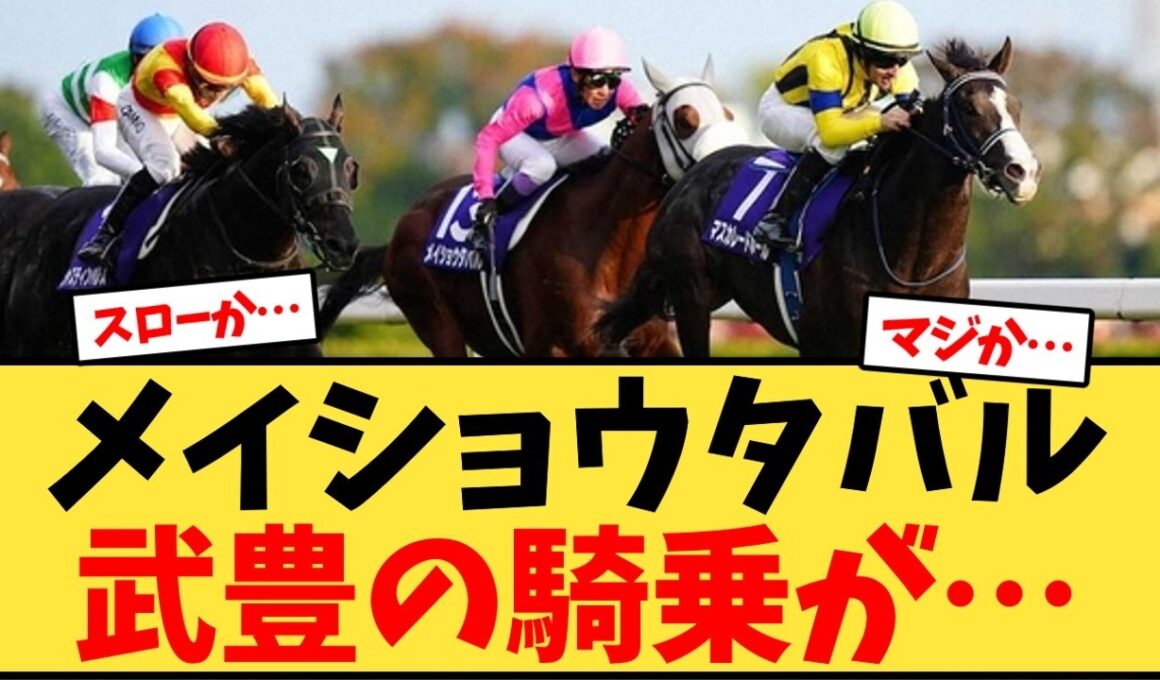 【天皇賞秋】メイショウタバル武豊の騎乗が…【競馬反応集】
